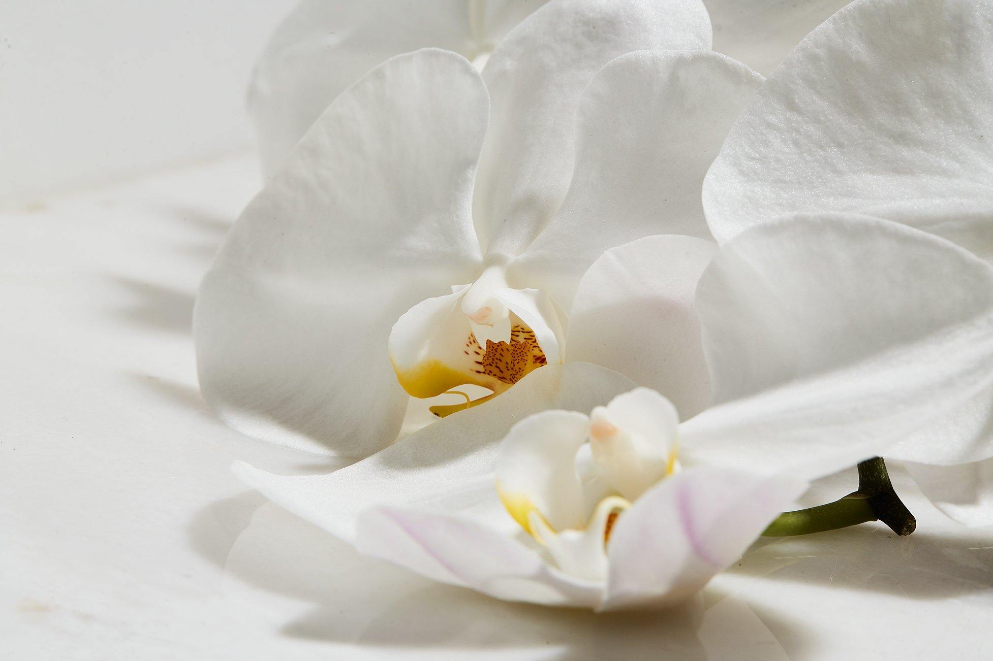 Three ways to elevate your staycation for Valentine's Day 2021 - LUMIRA