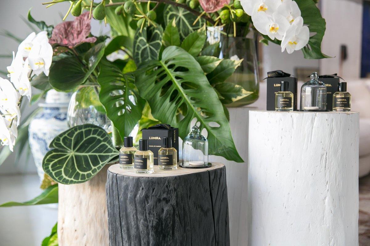Inside the LUMIRA Pop-Up Event - LUMIRA