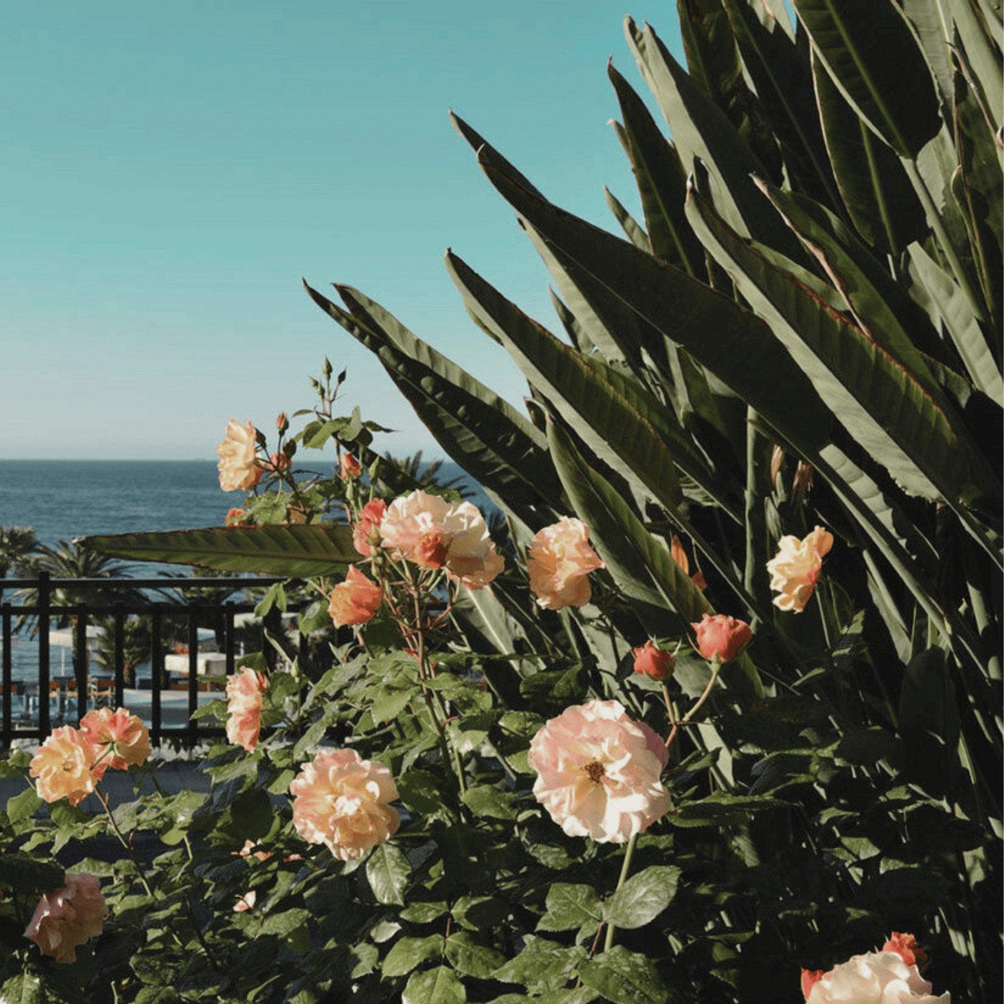 Three Fragrance Trends For Summer 2024 - LUMIRA