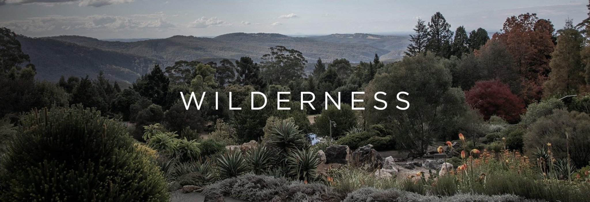 Wilderness – a collaboration with the Blue Mountains Botanic Garden - LUMIRA