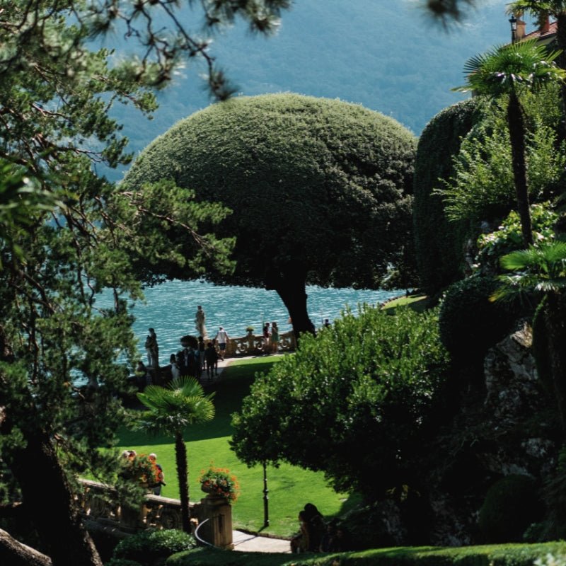 First Light - LUMIRA