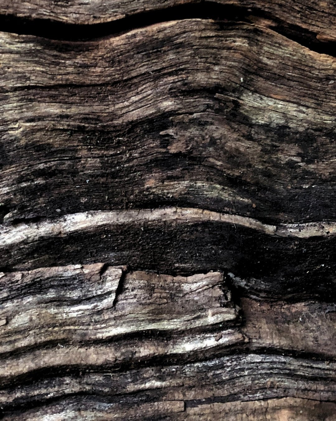 Wood - LUMIRA