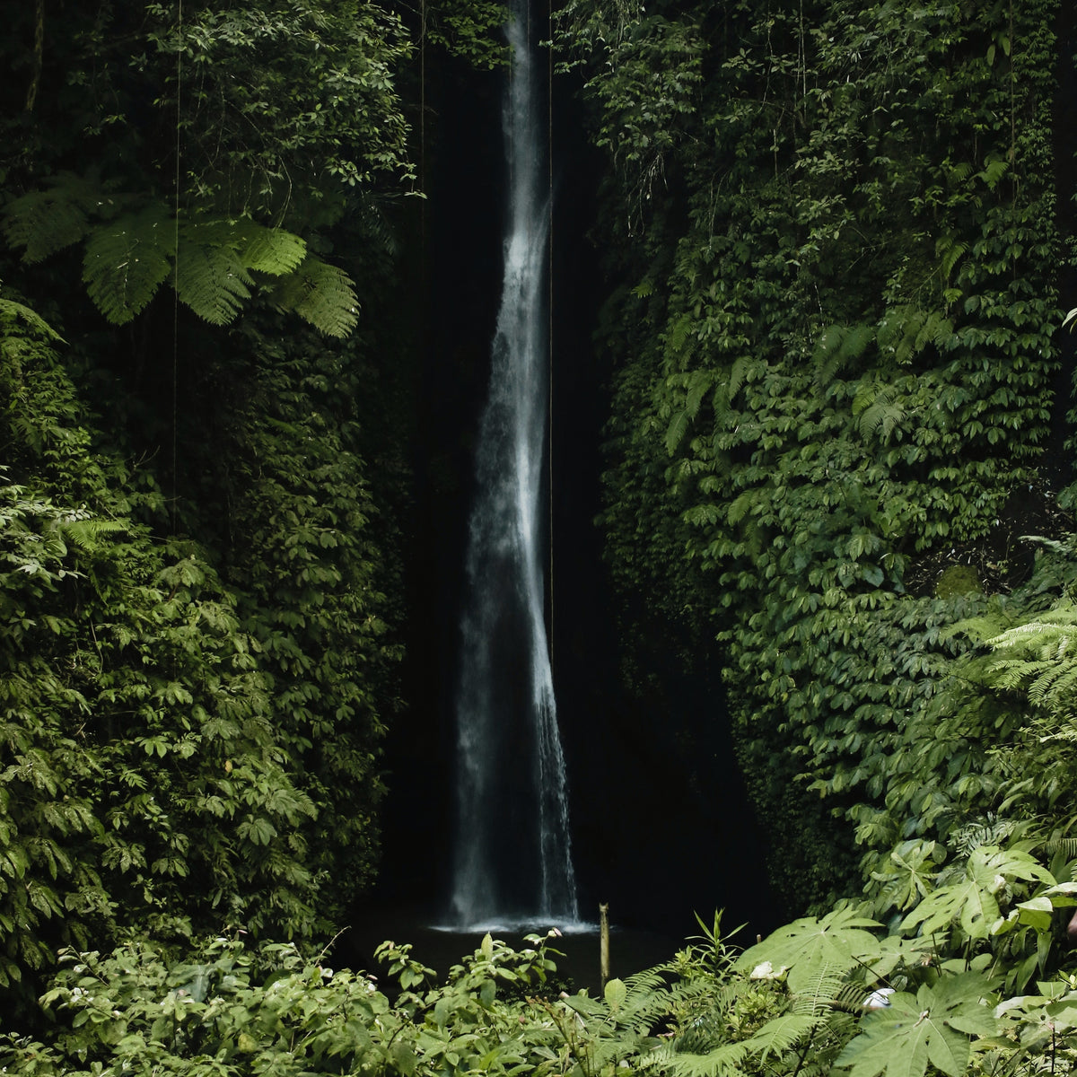 Bali Waterfall