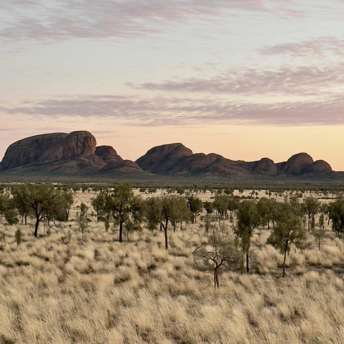 Spinifex grassland and distant rock formations in the Australian outback at dusk, the inspiration for LUMIRA Terra Australis