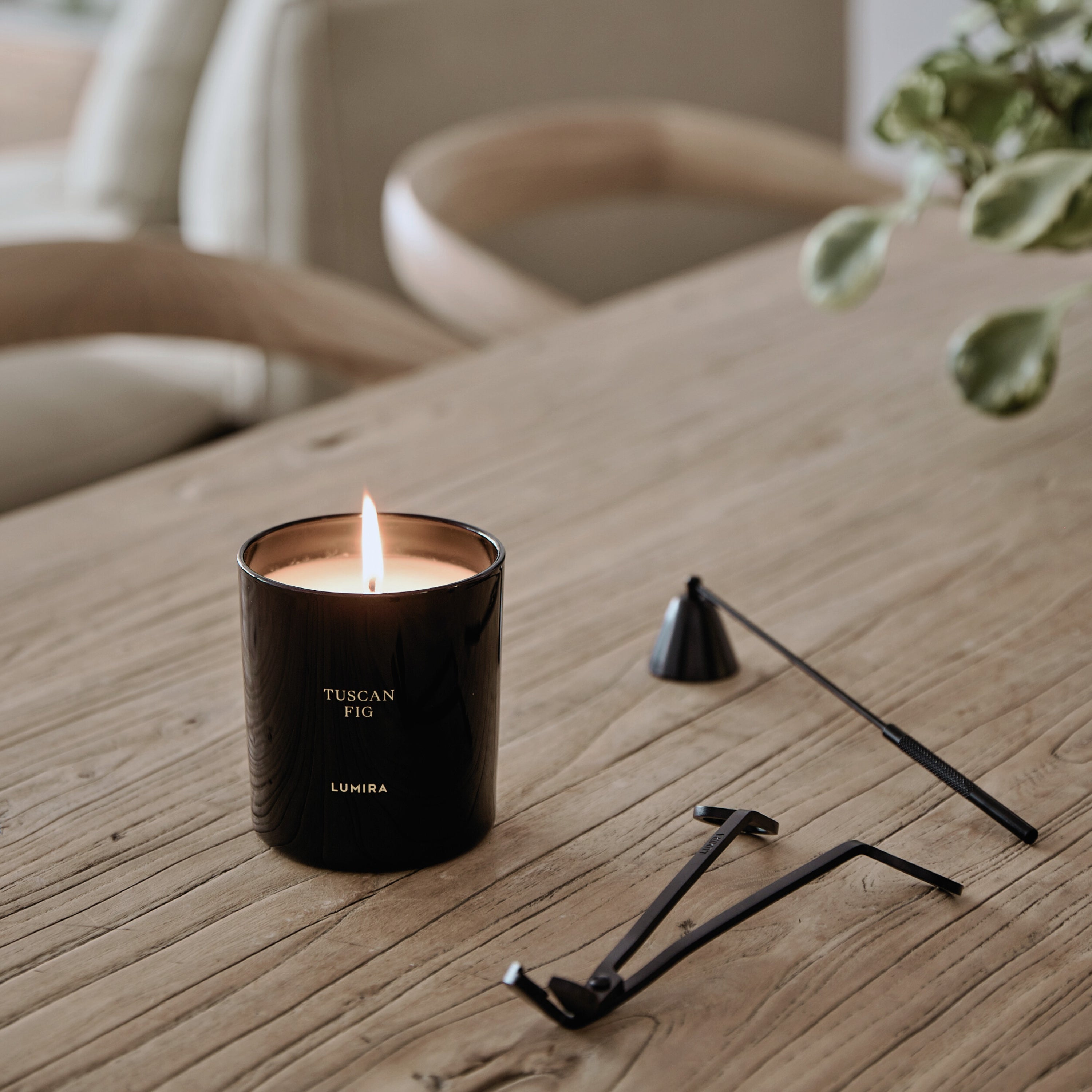 LUMIRA Tuscan Fig Candle