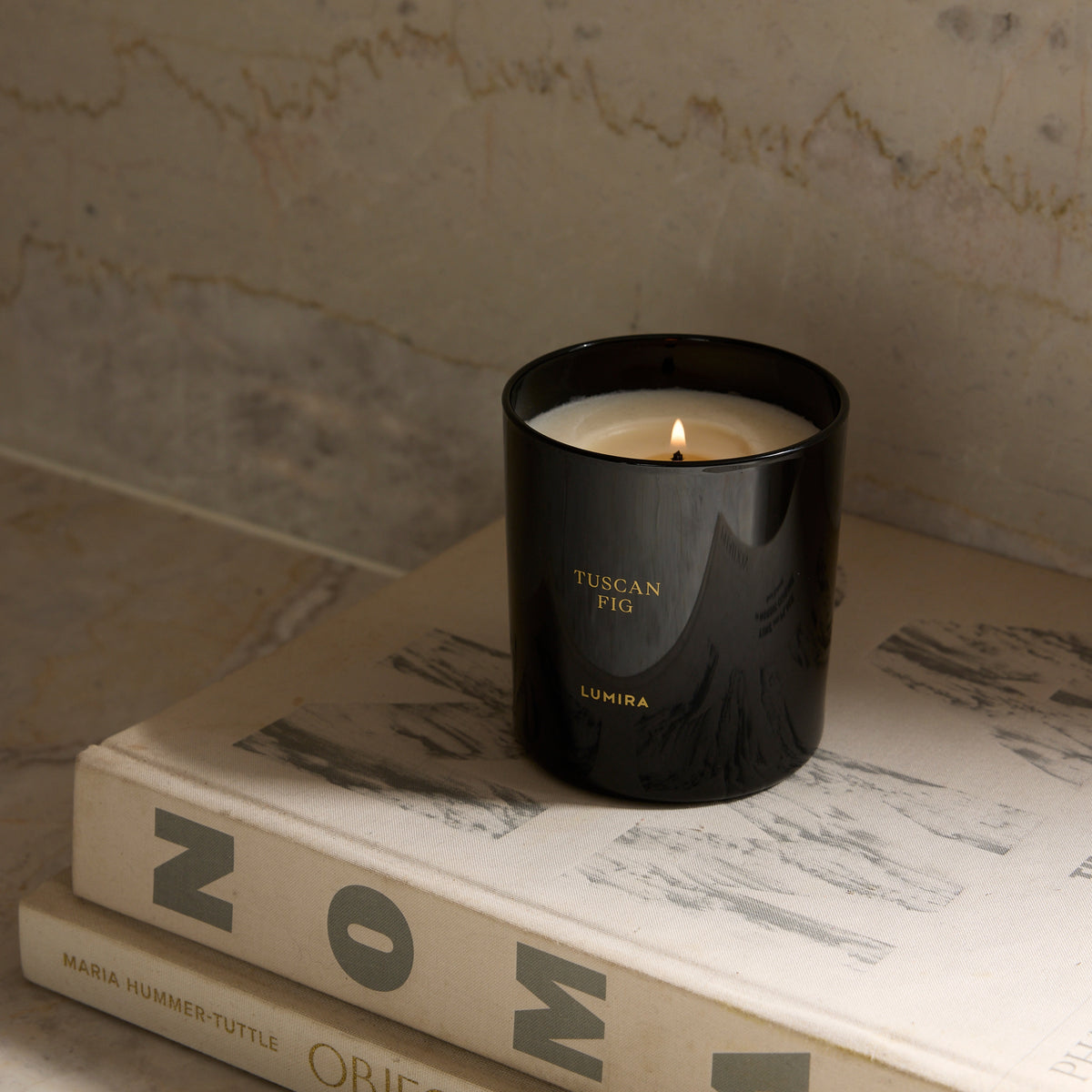 The LUMIRA Tuscan Fig candle lit on a stack of books against a stone wall