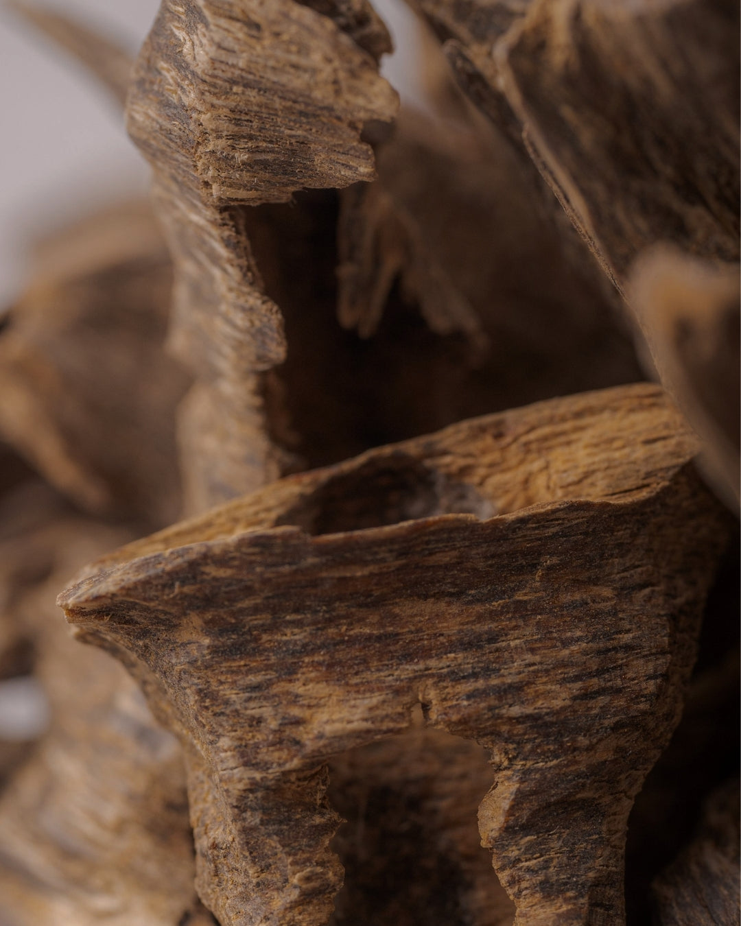 Splintered pieces of dark oud wood