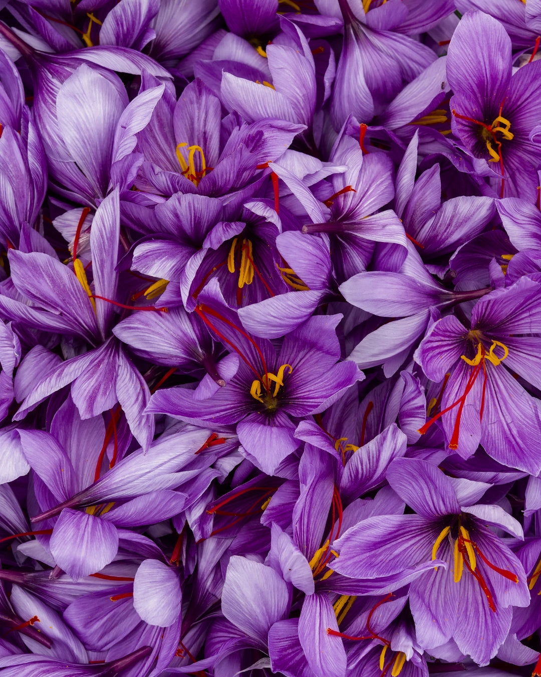 Saffron