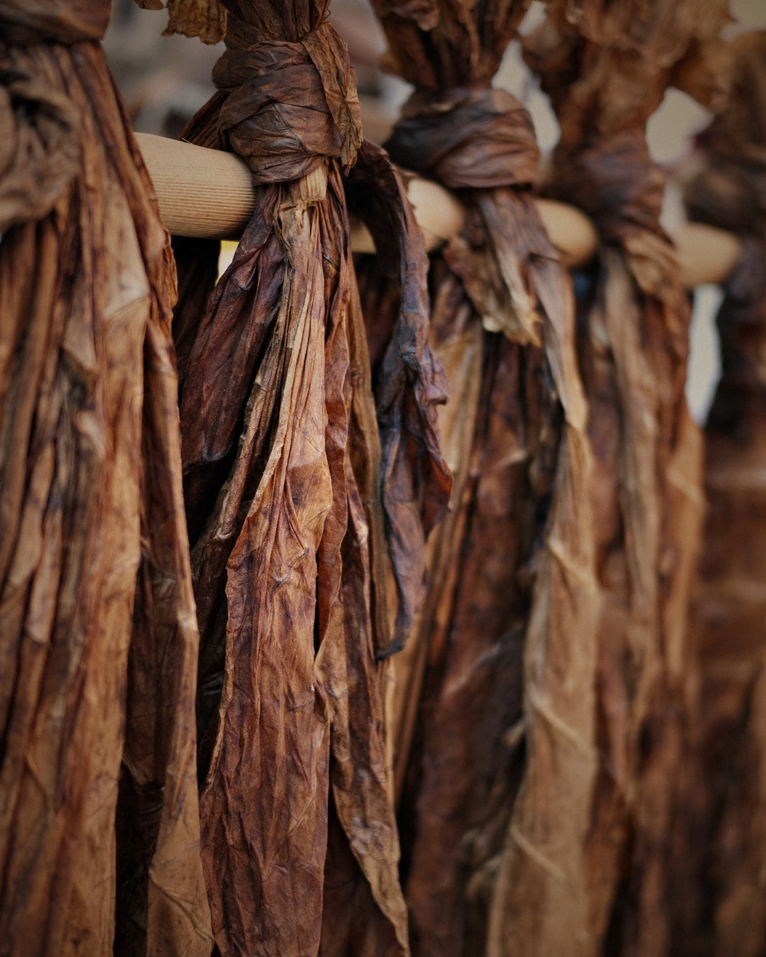 Tobacco