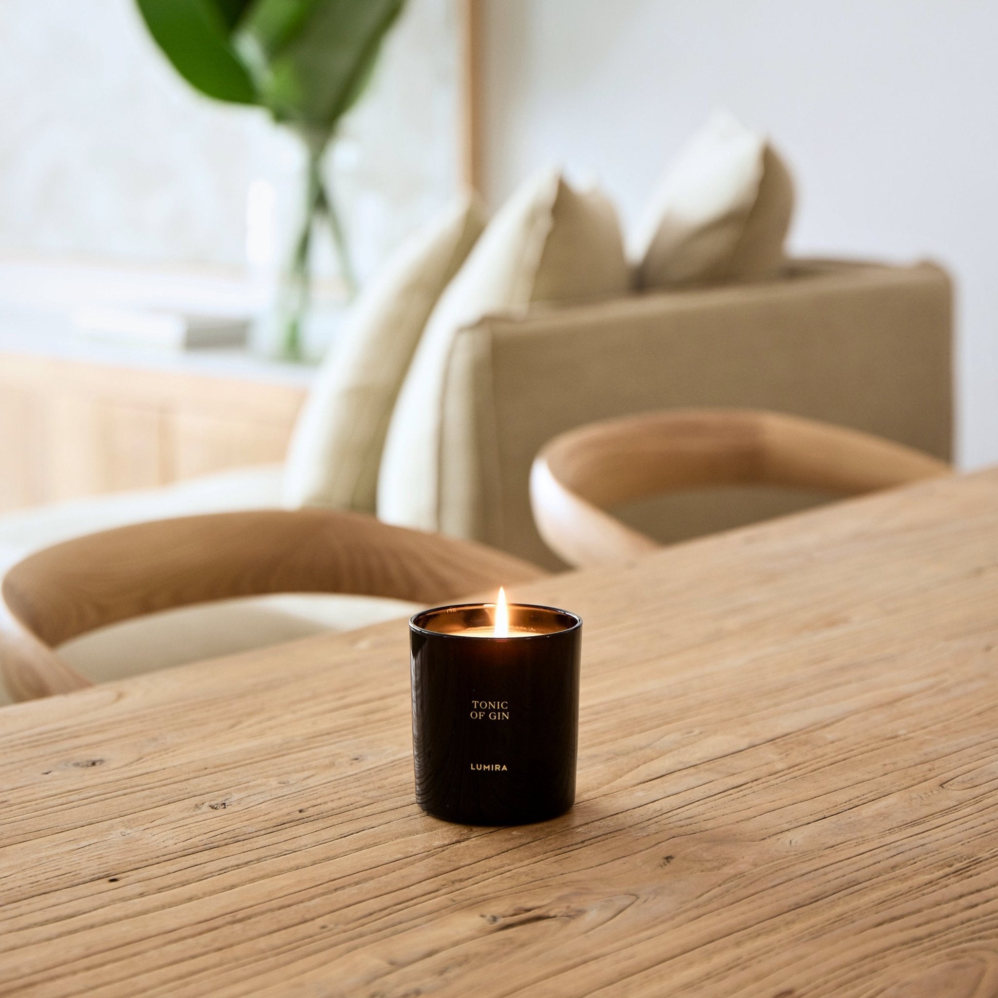 Tonic Of Gin Candle - LUMIRA
