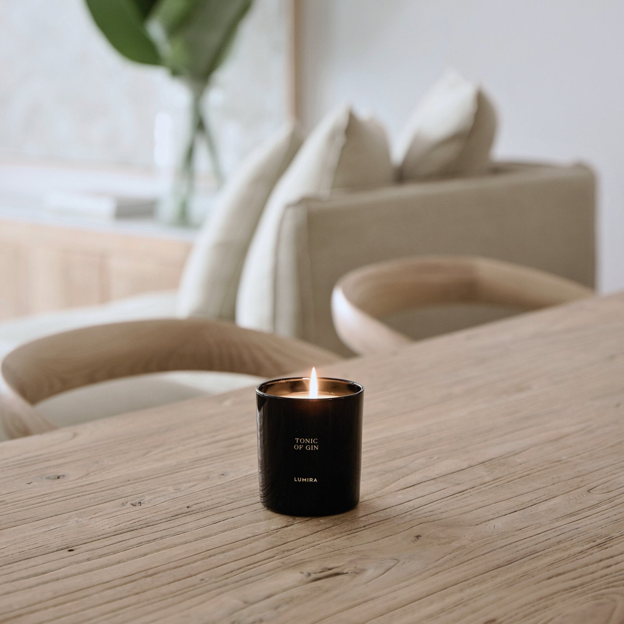 Tonic Of Gin Candle - LUMIRA