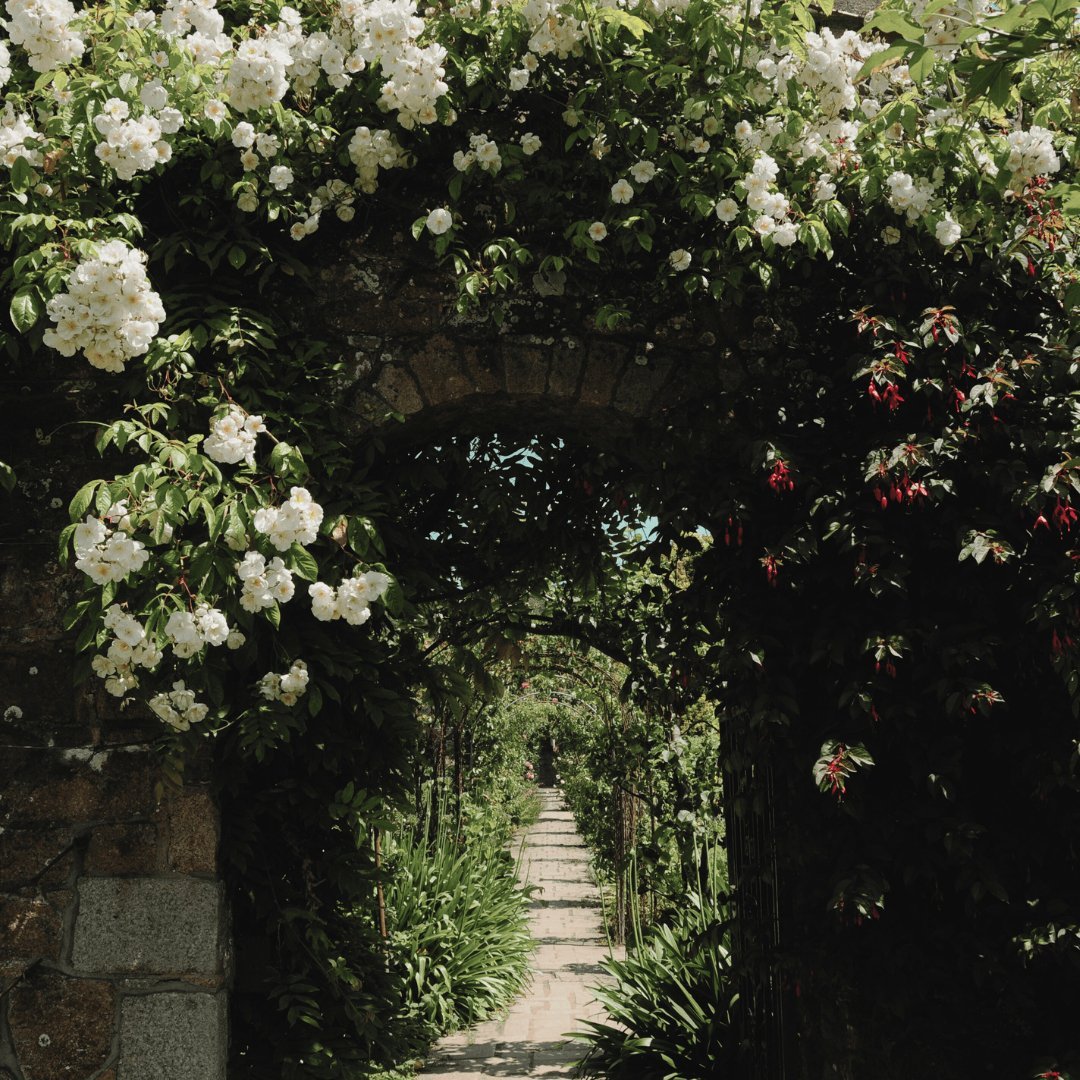 The Making of Il Giardino - LUMIRA