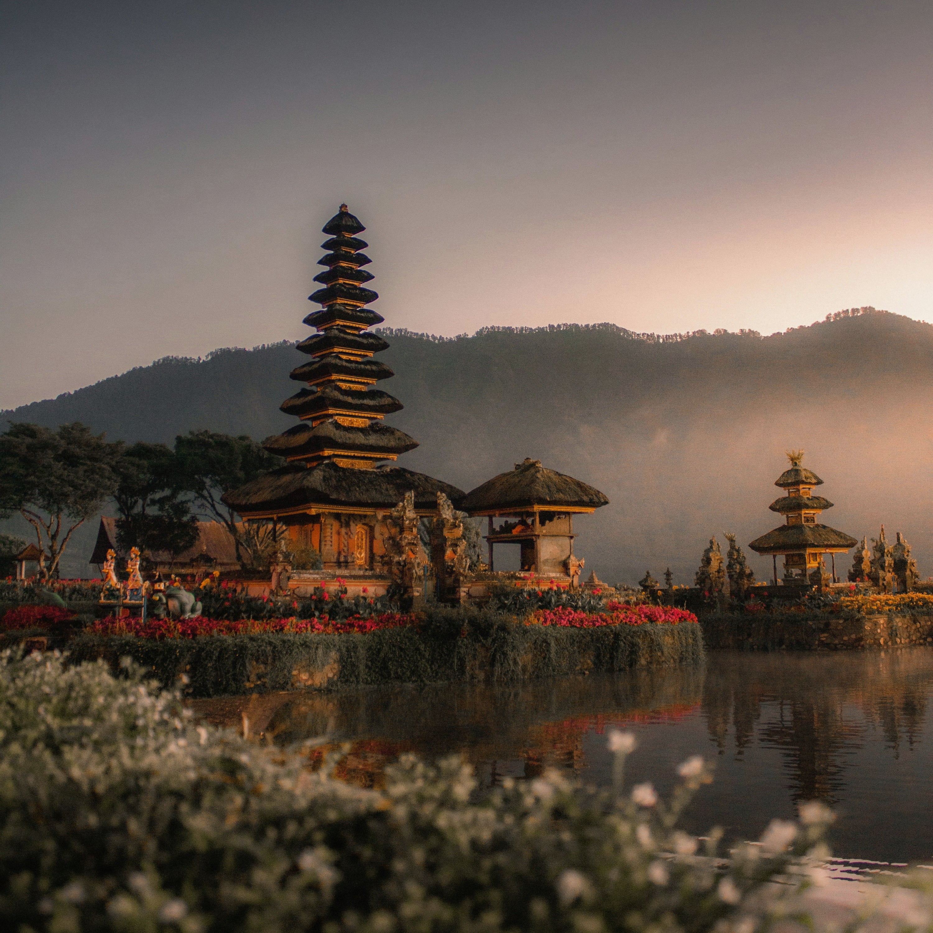 Bali flowers sunset