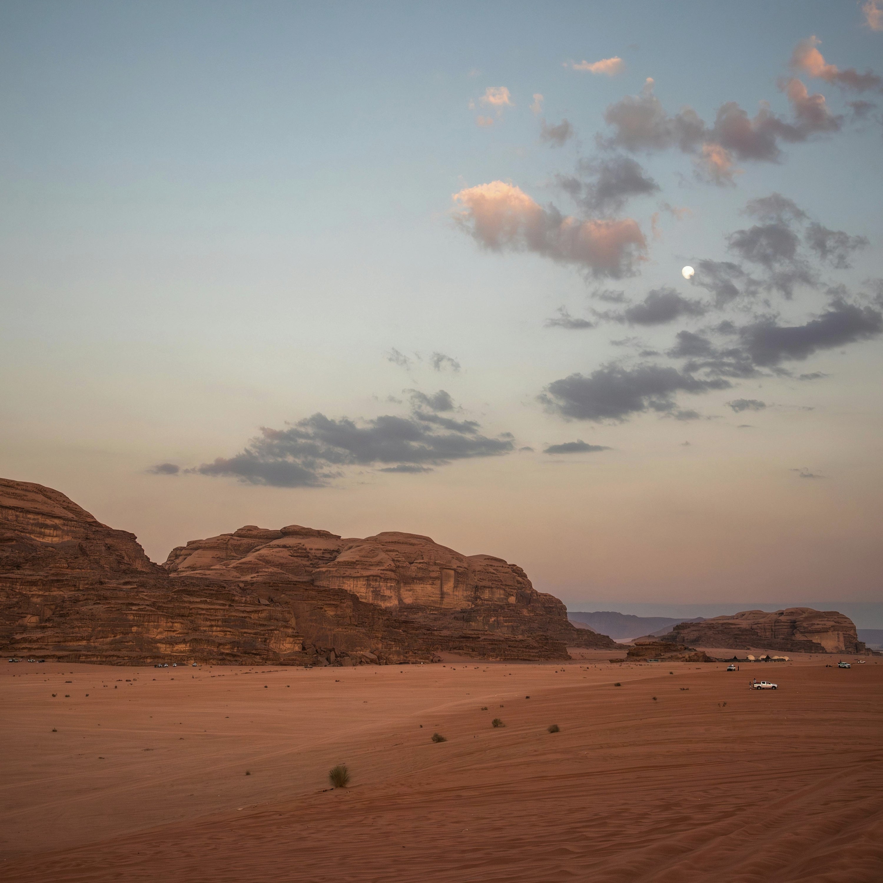 Desert Nights