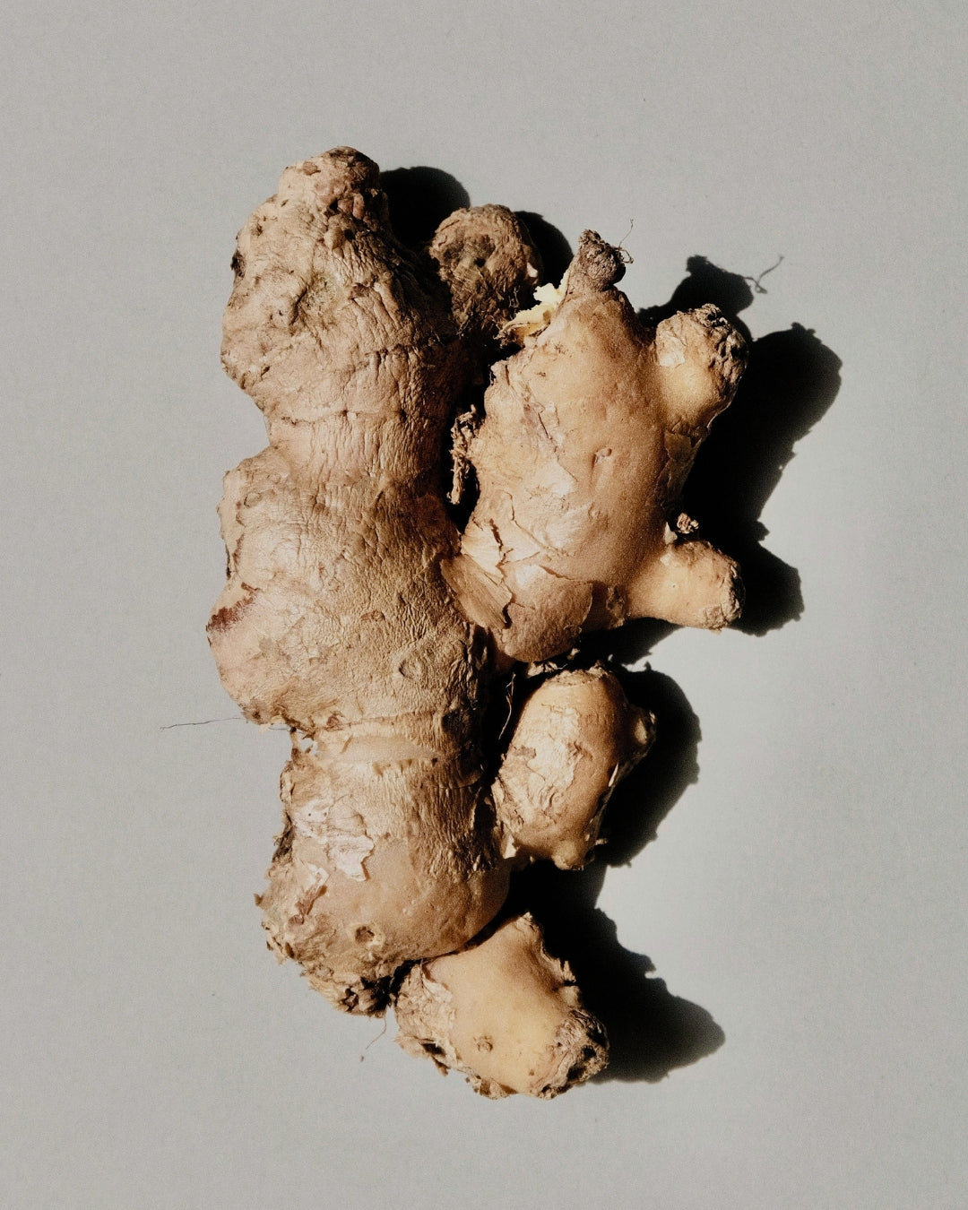 Ginger