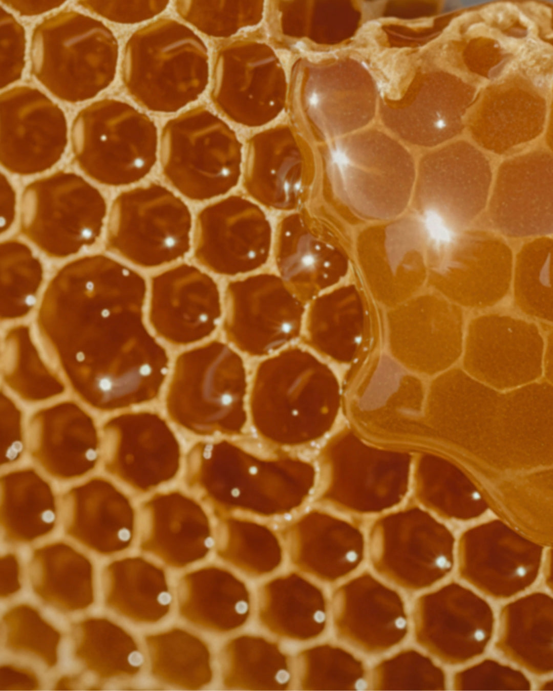 Honey