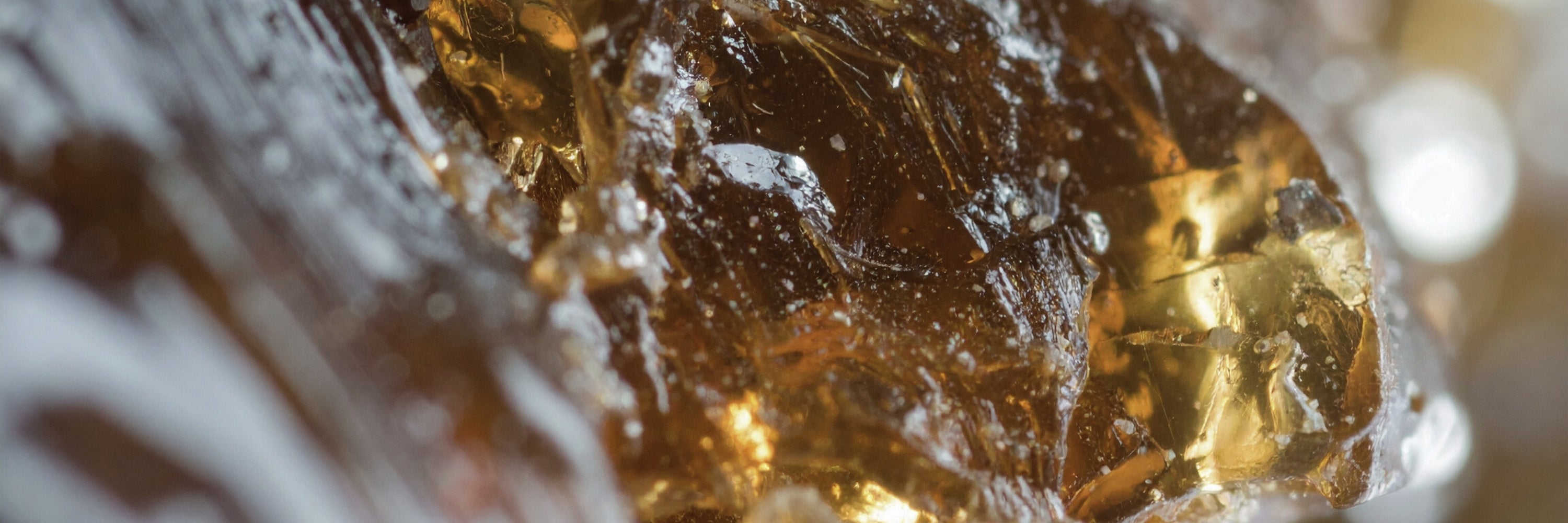 LUMIRA Amber Fragrance Family