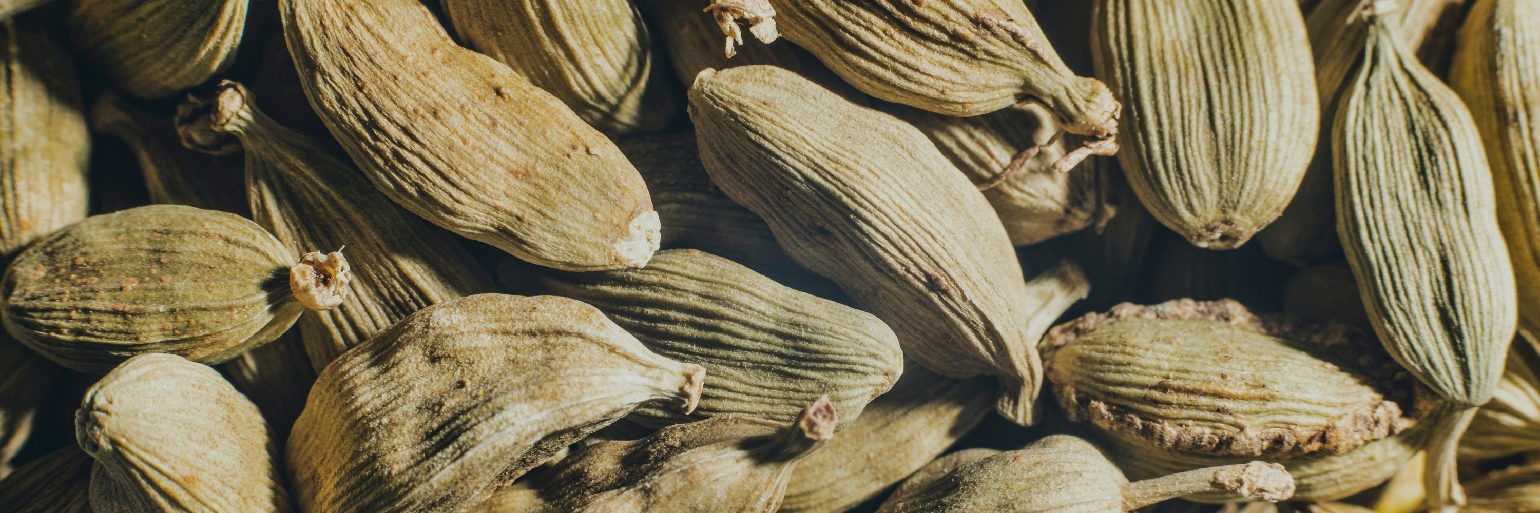 LUMIRA Spicy Fragrance Family