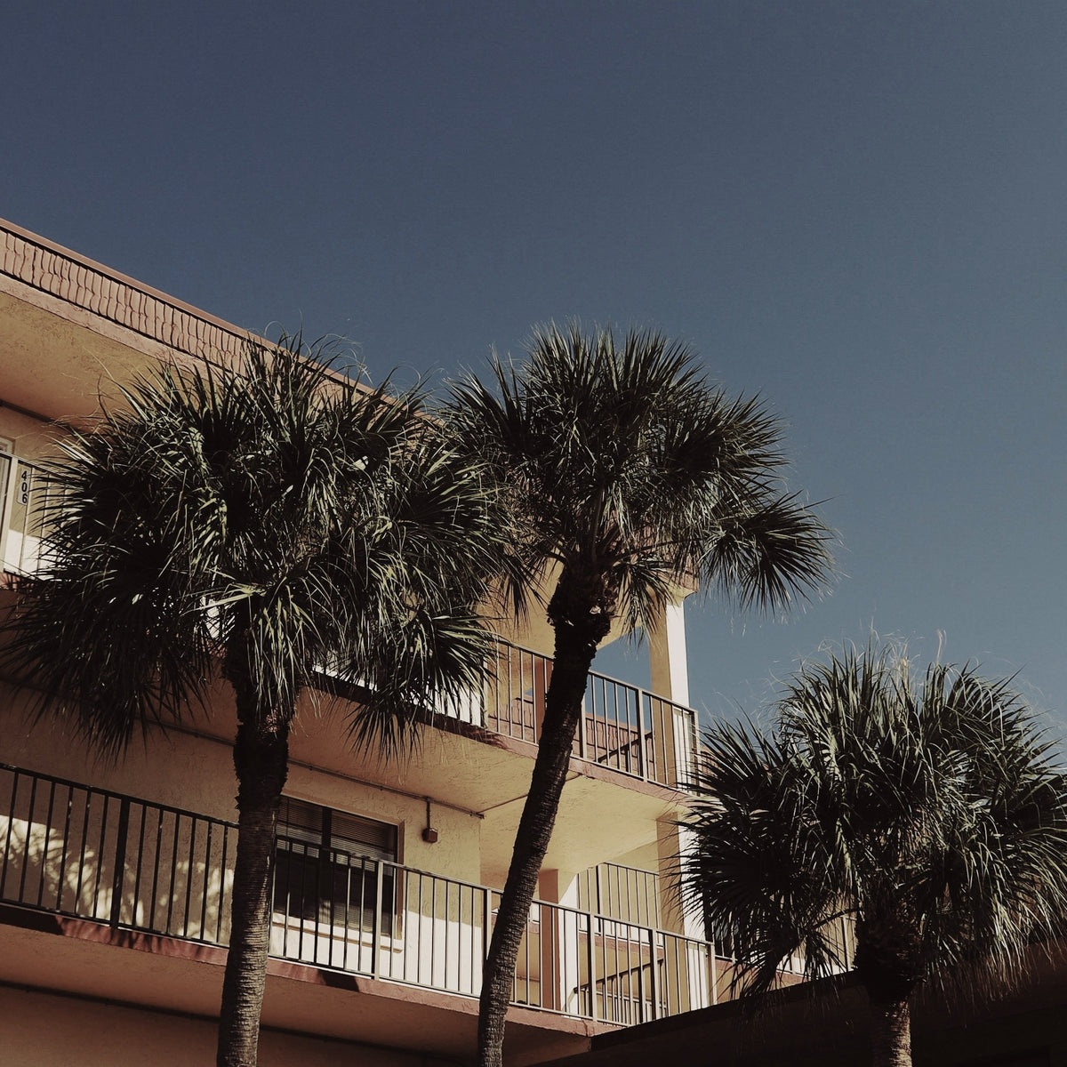 Palms against a sunlit stucco building in Florida, the inspiration for LUMIRA Solar Neroli