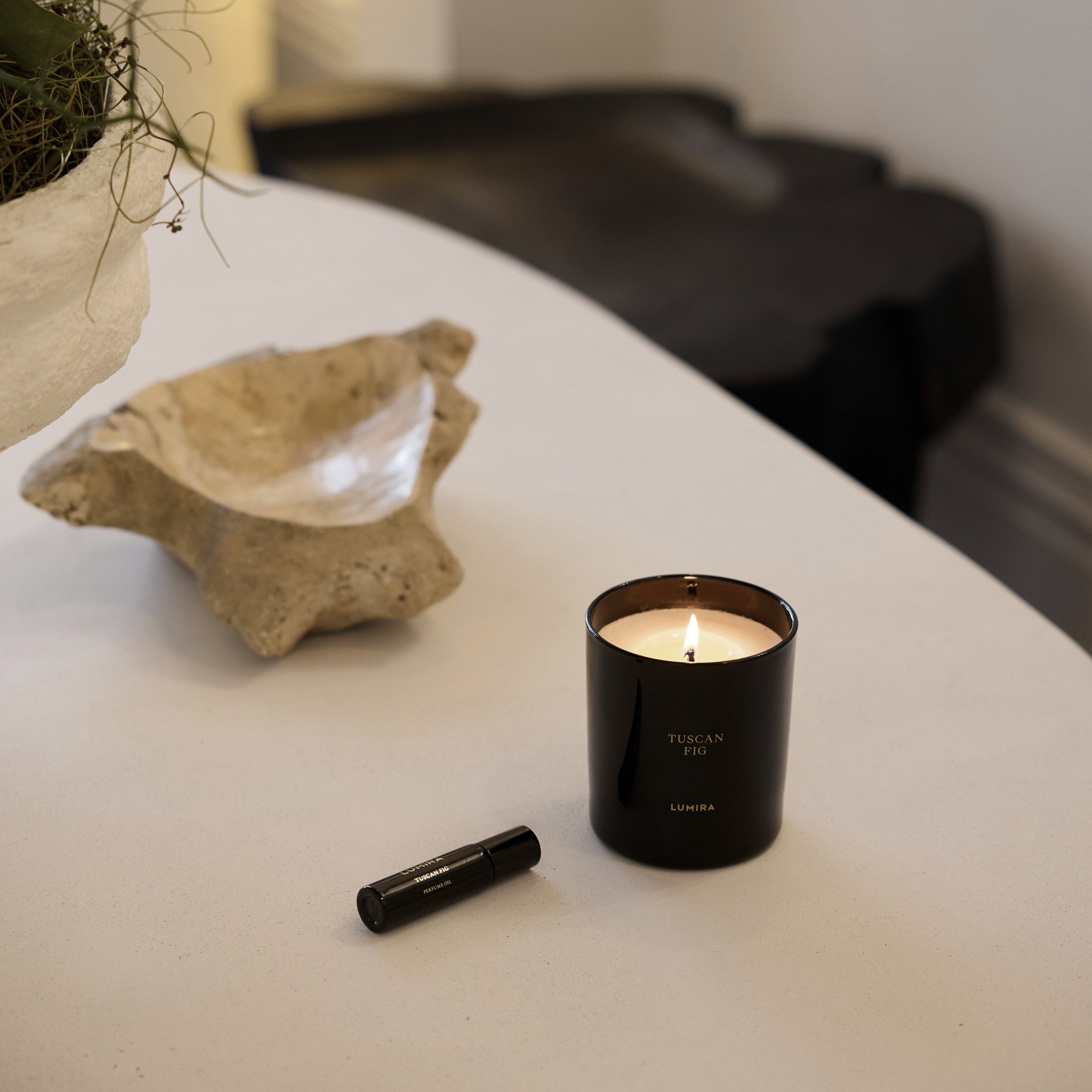 Tuscan Fig Candle and Tuscan Fig Perfume Oil