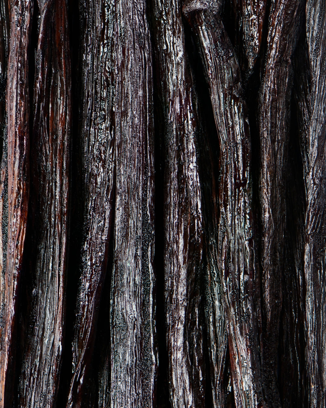 Dark cured vanilla pods laid side by side