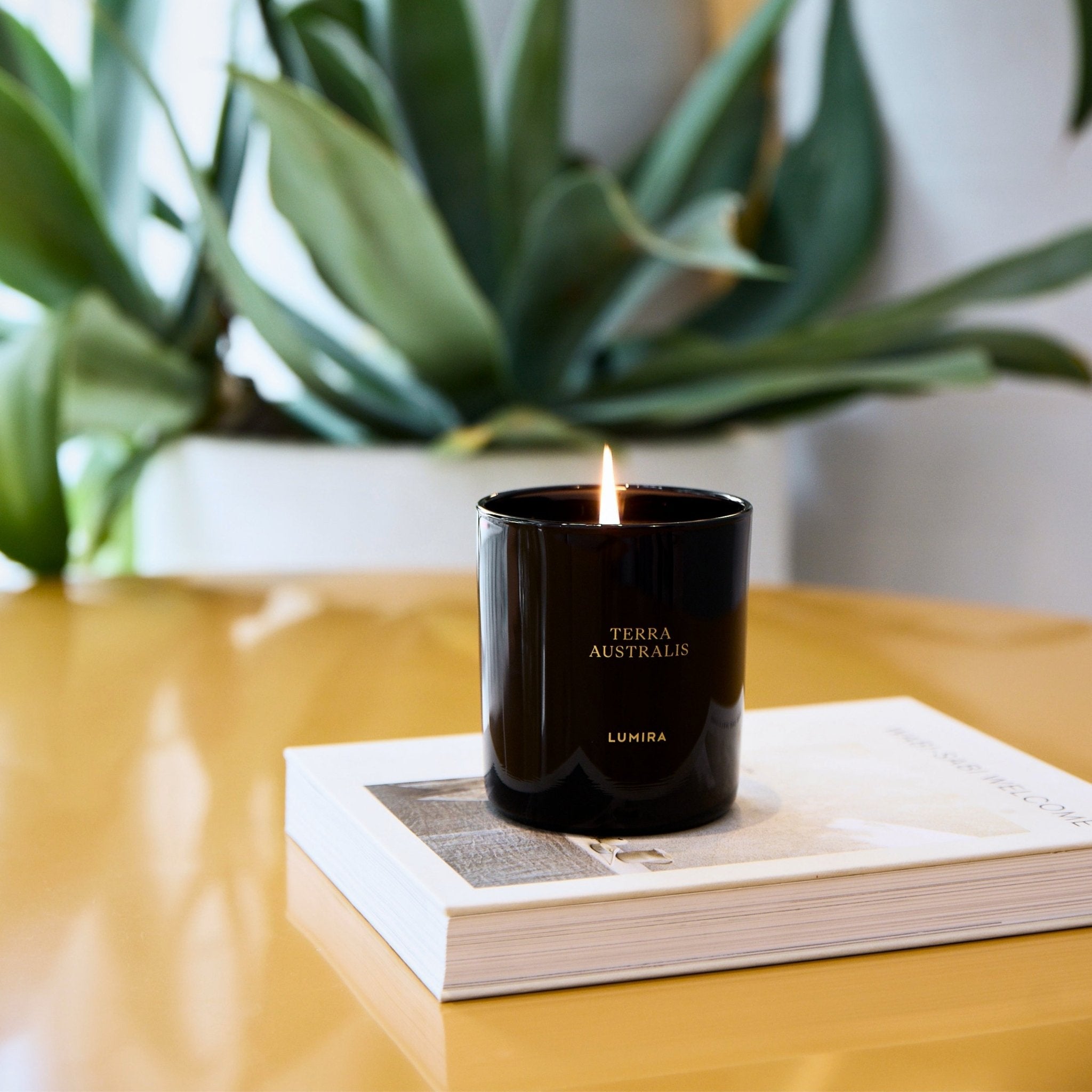 Terra Australis Candle - LUMIRA