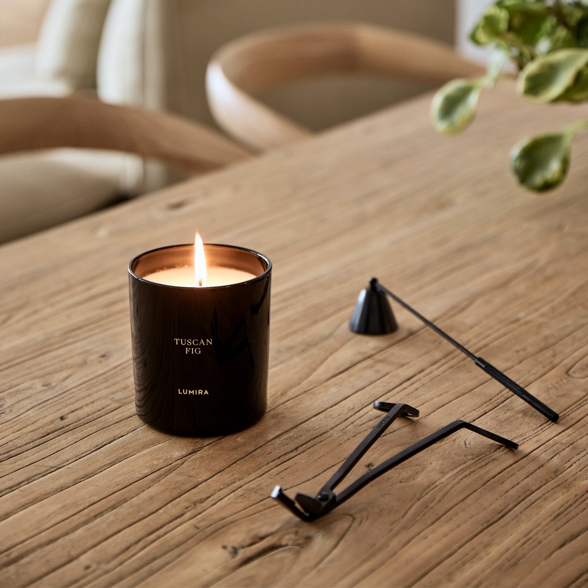 Tuscan Fig Luxury Candle | LUMIRA